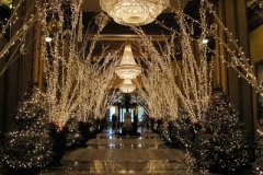 5-Best-Places-to-Spend-This-Christmas-in-New-York-Roosevelt
