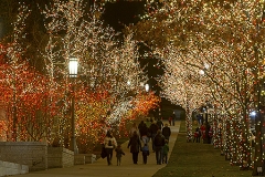 580-lights on temple square-1403456