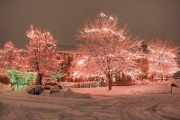 holiday-light-design-example