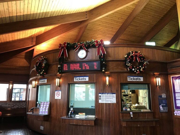 IMG_5803 Long Island Christmas Light Installation