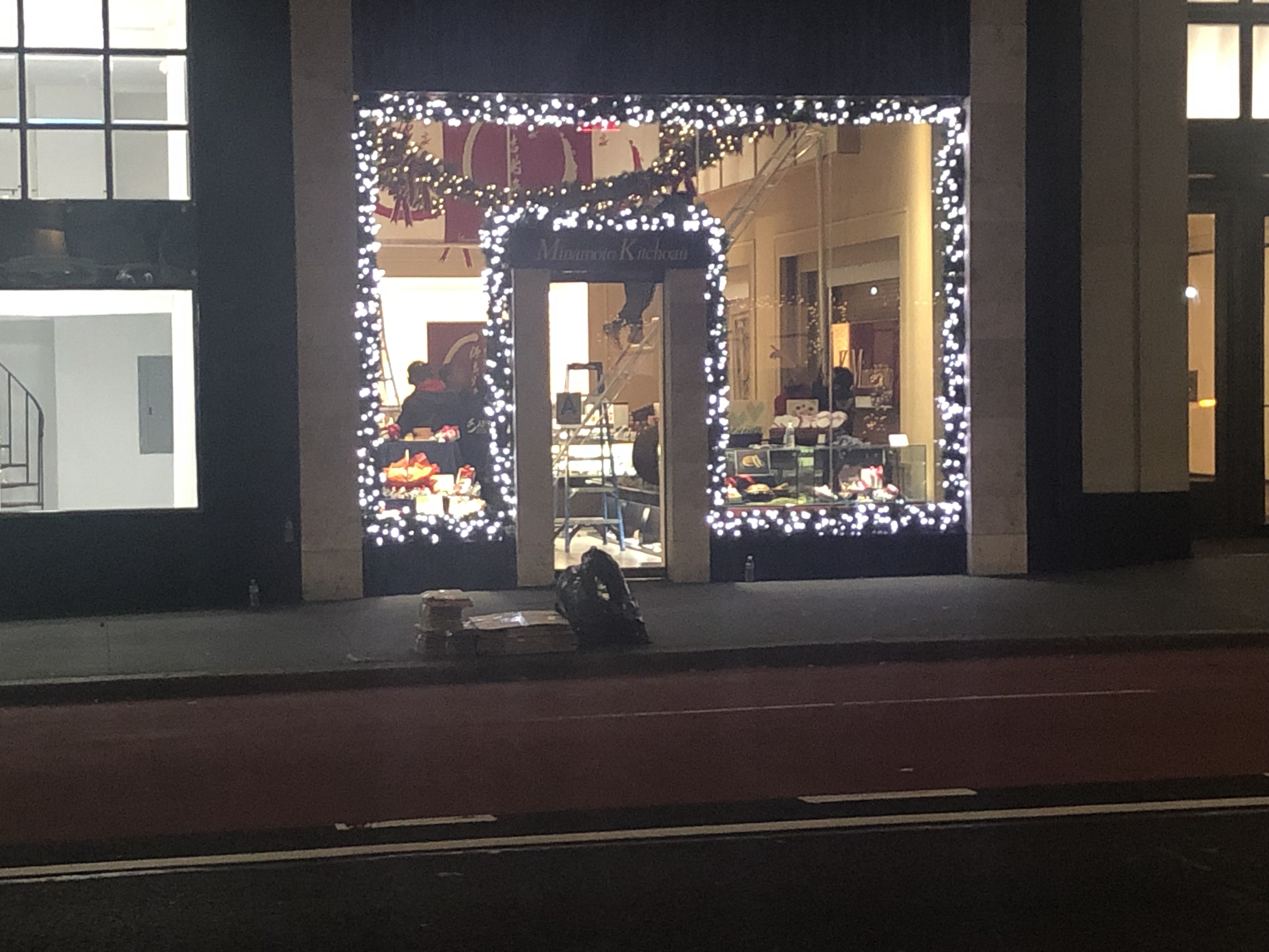 IMG_6236 Long Island Christmas Light Installation